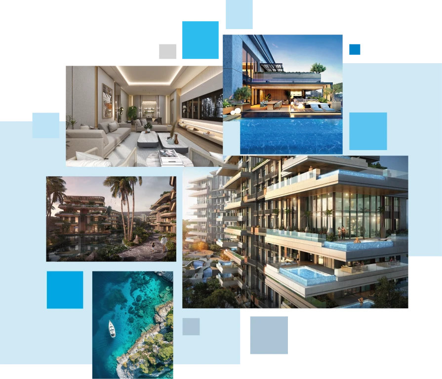 Projects and Information